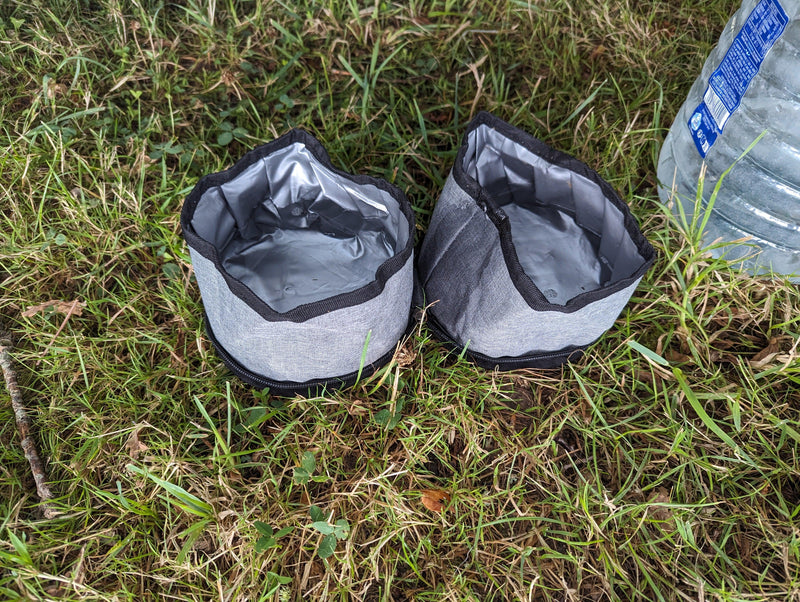 Sac de voyage pour chien