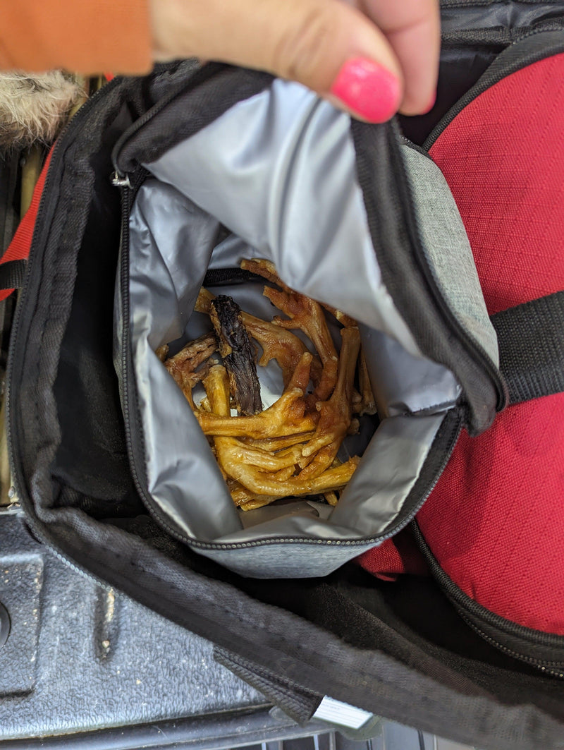 Sac de voyage pour chien
