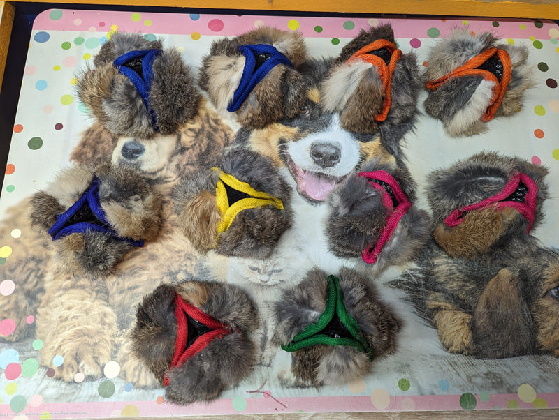 Balle a friandises lapin paws pocket