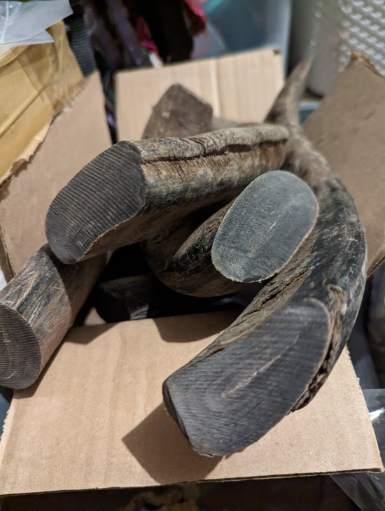 Corne de Buffle pleine