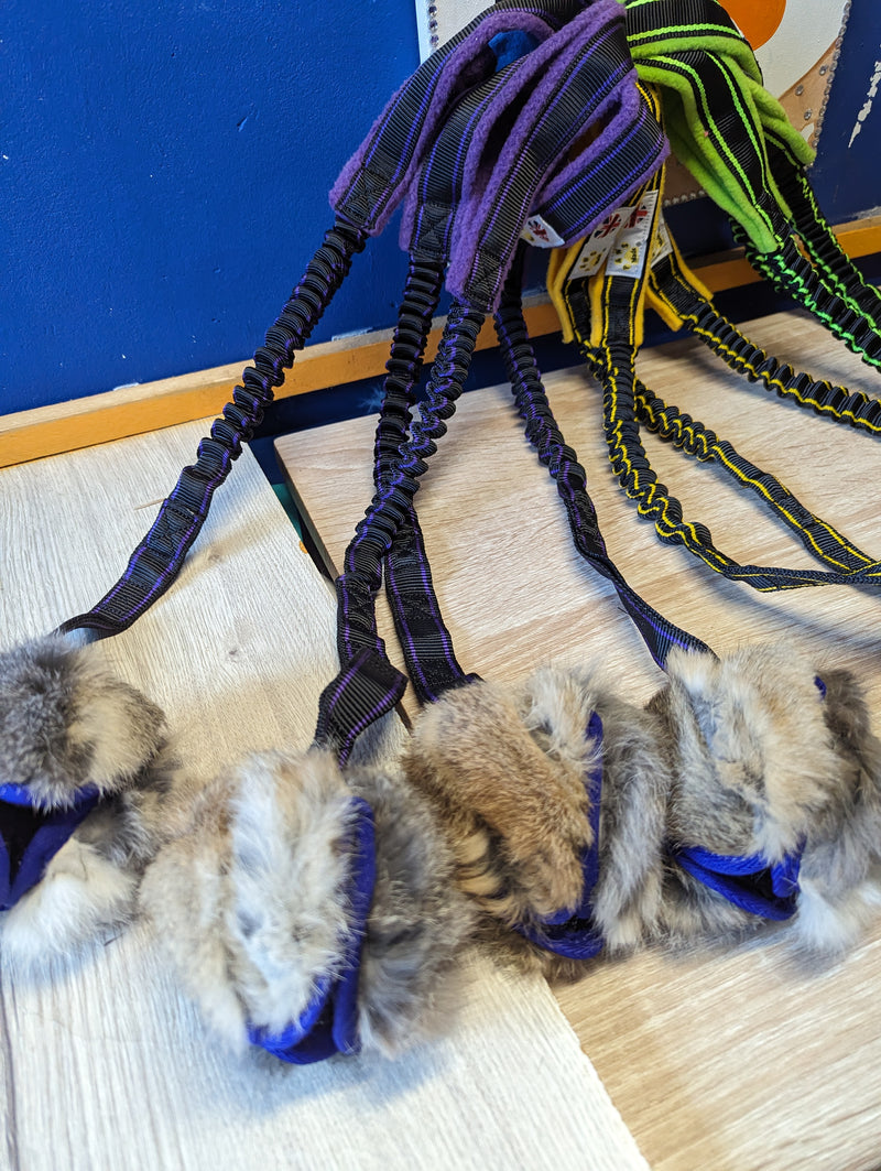 Tug lapin avec balle friandises paws pocket