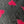 Vet bed - Le tapis tout doux 100x75 differents coloris