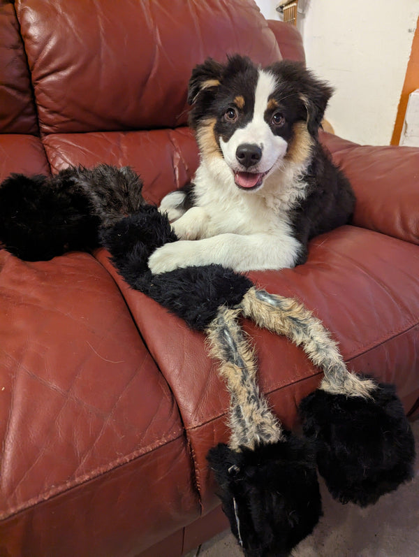 Dinguerie de guenille mouton/lapin