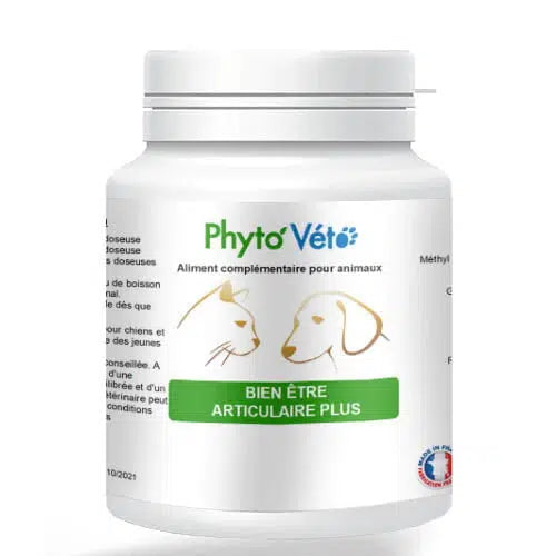 BIEN ETRE ARTICULAIRE