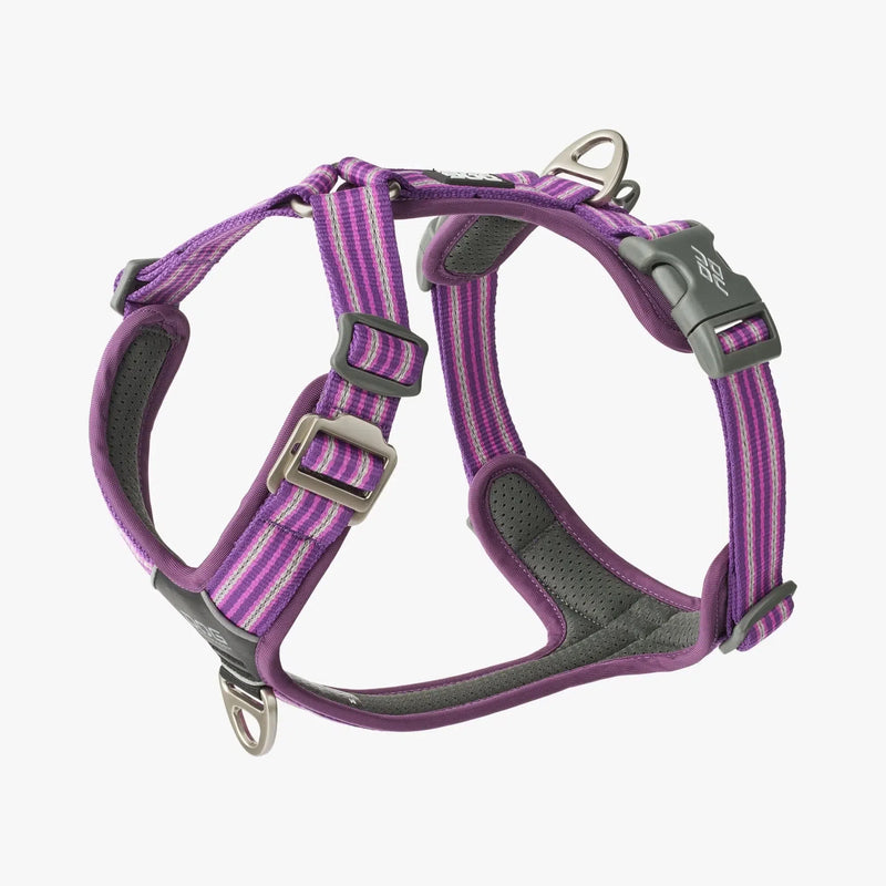 Harnais DOG COPENHAGEN Confort Walk Air -