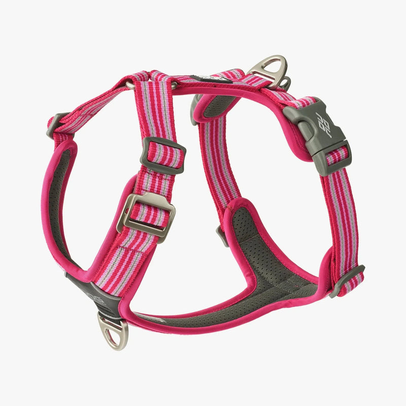 Harnais DOG COPENHAGEN Confort Walk Air -