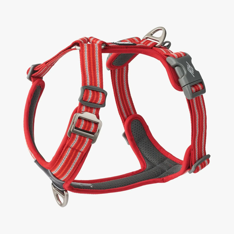 Harnais DOG COPENHAGEN Confort Walk Air -