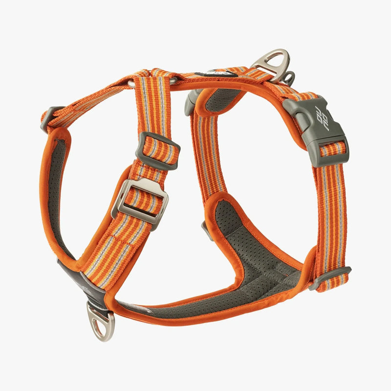 Harnais DOG COPENHAGEN Confort Walk Air -