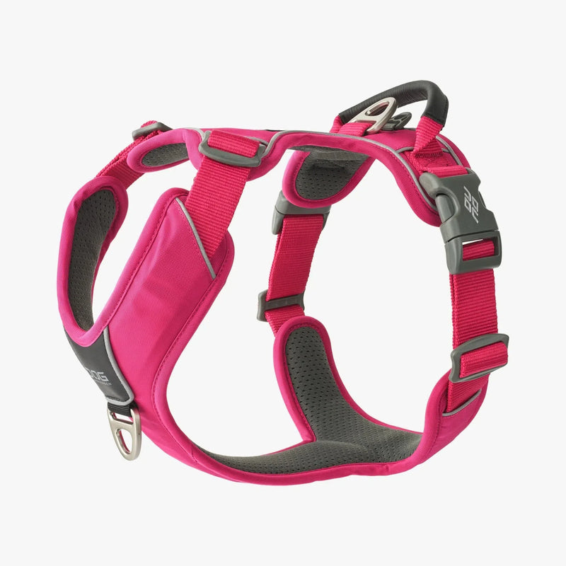 Harnais DOG COPENHAGEN Comfort Walk Pro