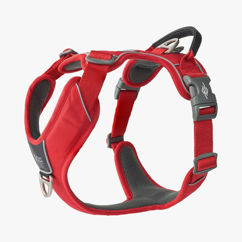 Harnais DOG COPENHAGEN Comfort Walk Pro