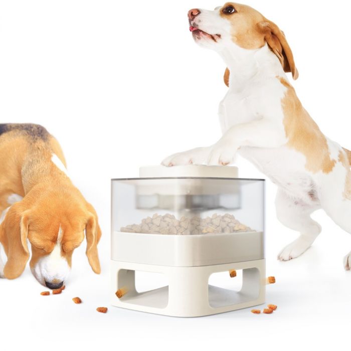 Jeu intelligent- Distributeur de friandises - Pour chiens de taille moyenne