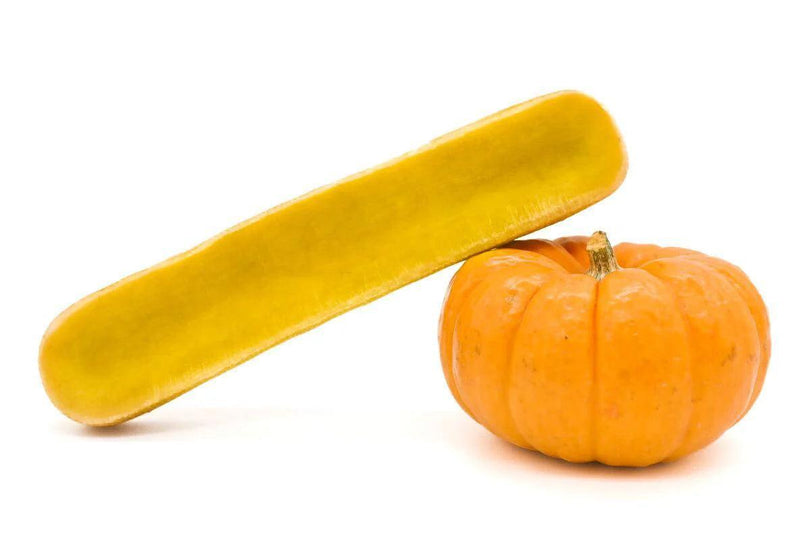 Fromage "cheezy dog" aux fruits & Superaliments taille M