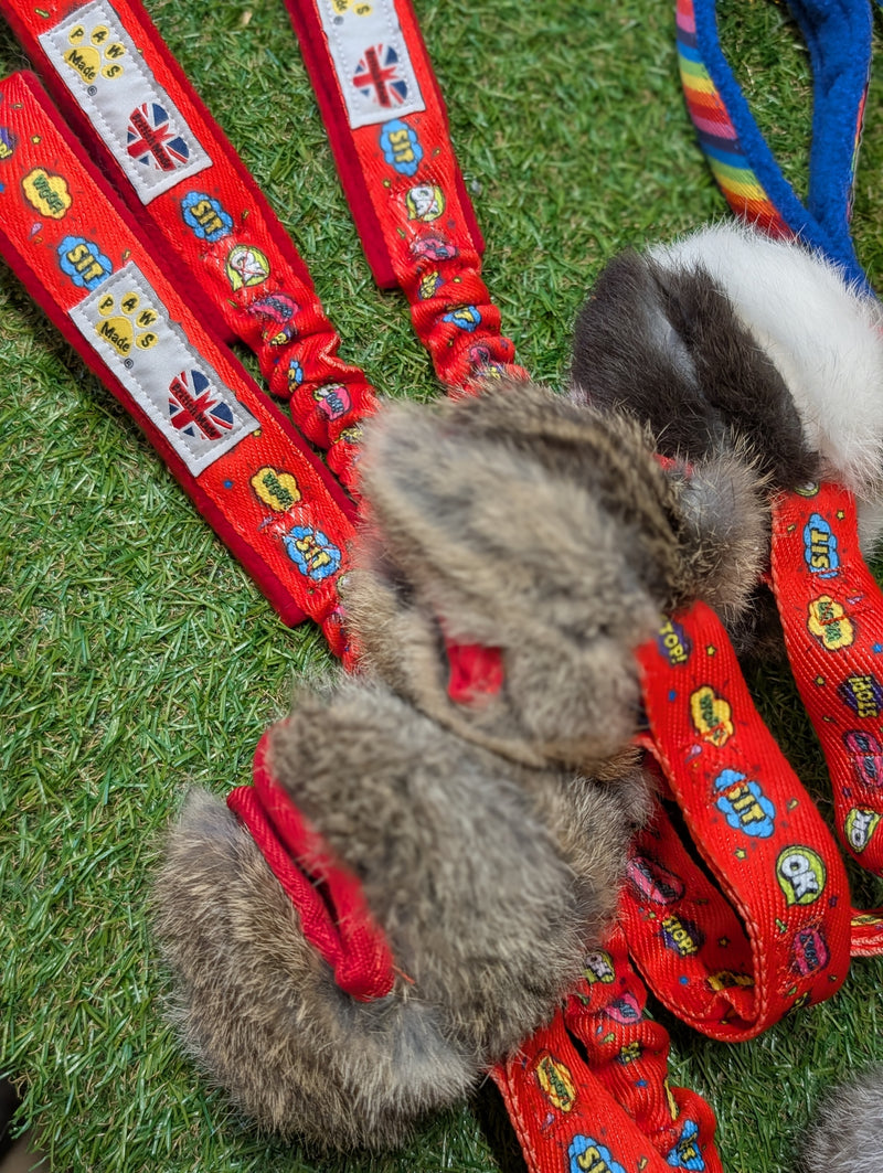 Tug lapin avec balle friandises paws pocket