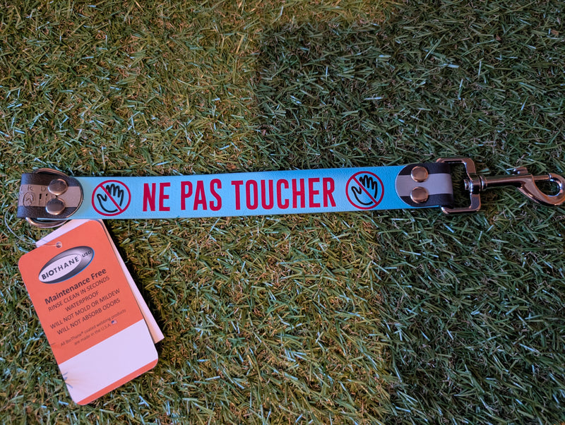 Dog talker ( laisse a message)
