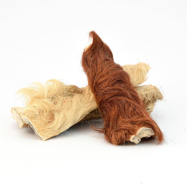 peau de boeuf avec poils