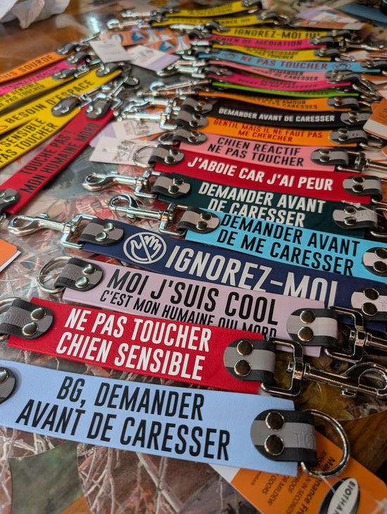 Dog talker ( laisse a message)