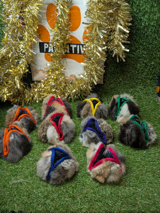 Balle a friandises lapin paws pocket