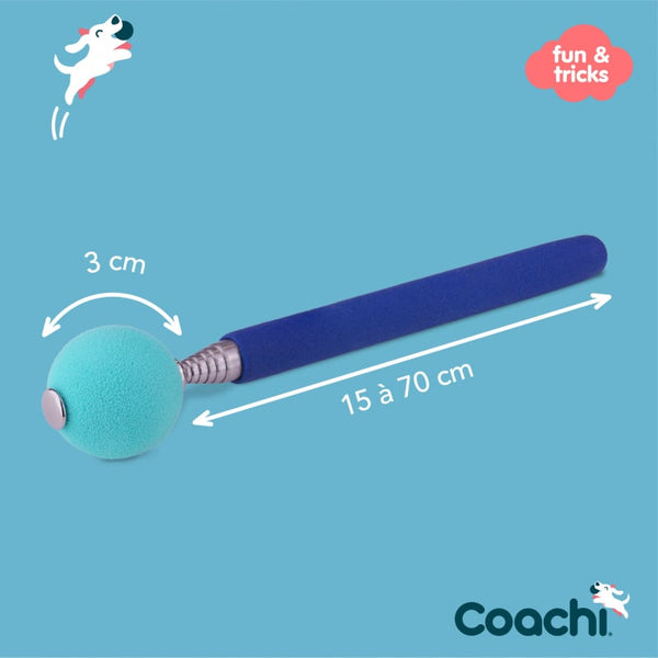 Coachi Target Stick : L'Outil de Précision pour le Dog Dancing