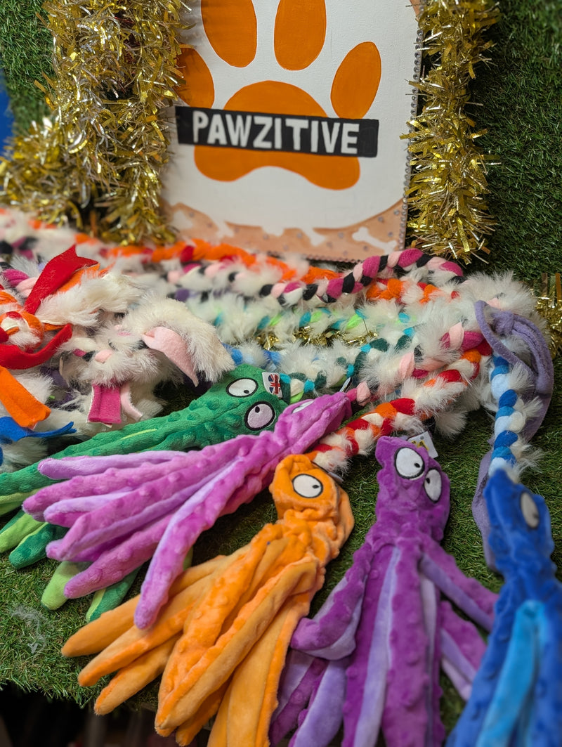 tug pieuvre mouton ou lapin