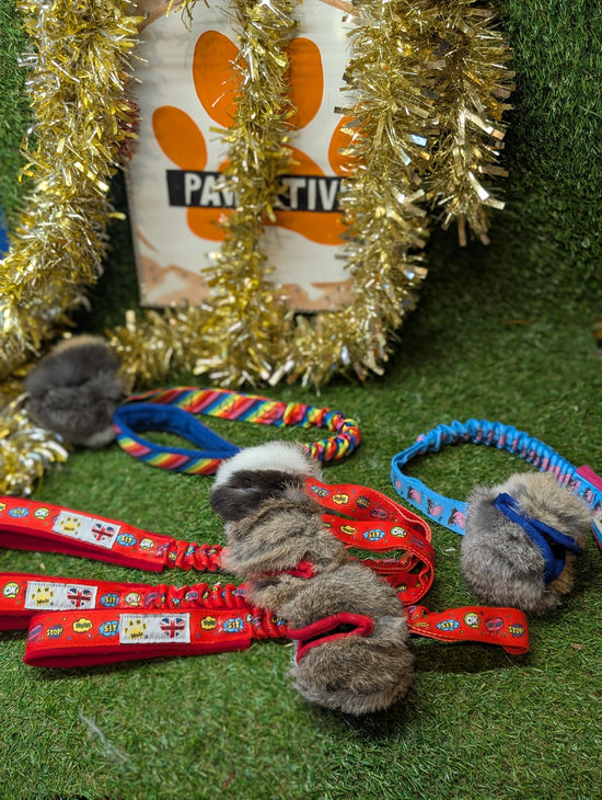 Tug lapin avec balle friandises paws pocket