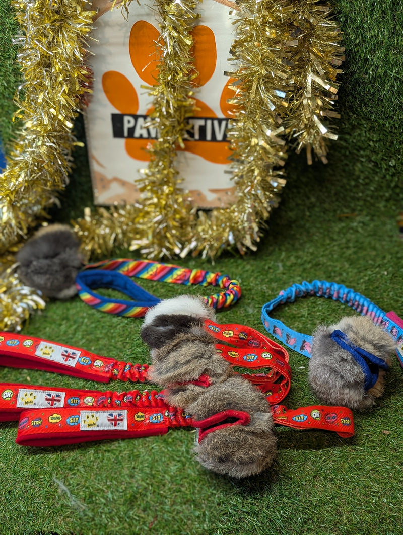 Tug lapin avec balle friandises paws pocket