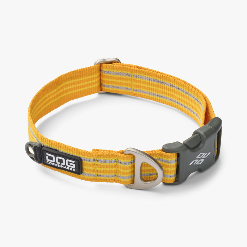 COLLIER DOG COPENHAGEN URBAN STYLE