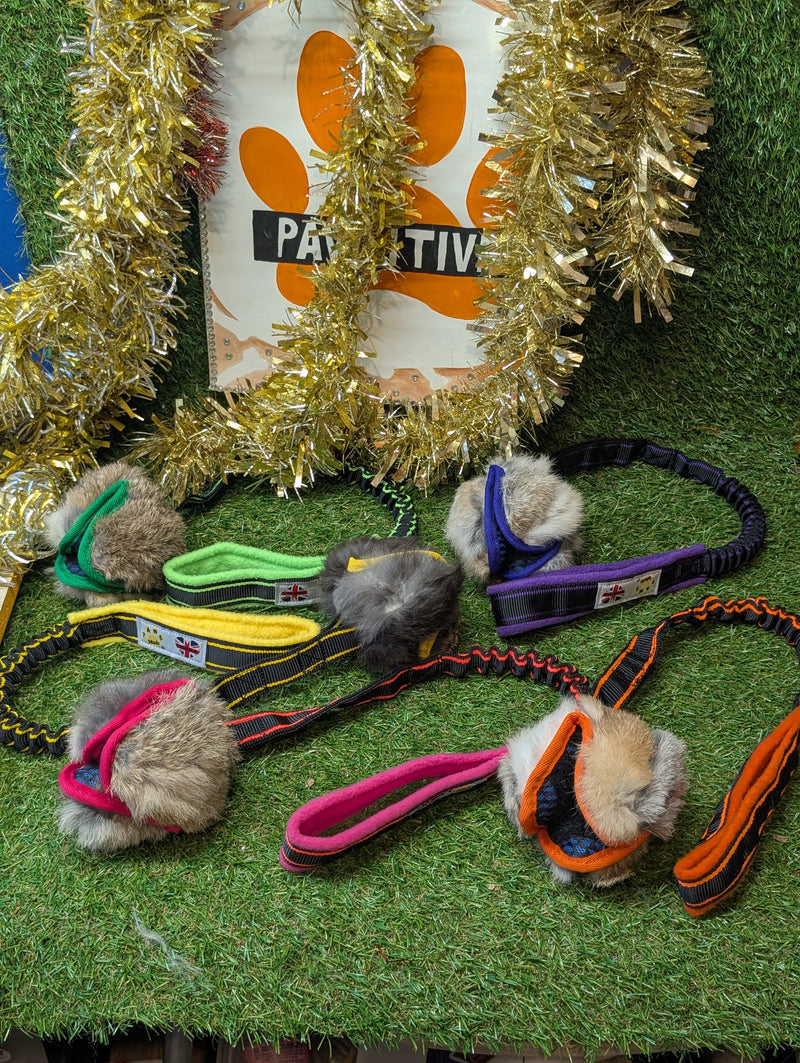 Tug lapin avec balle friandises paws pocket