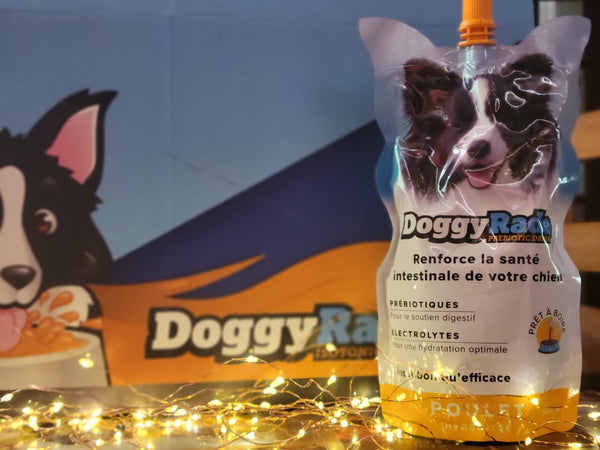 Doggy rade boisson prébiotique et réhydratant poulet ou 🦆