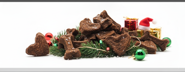 Friandises de renne citrouille & pomme 100g