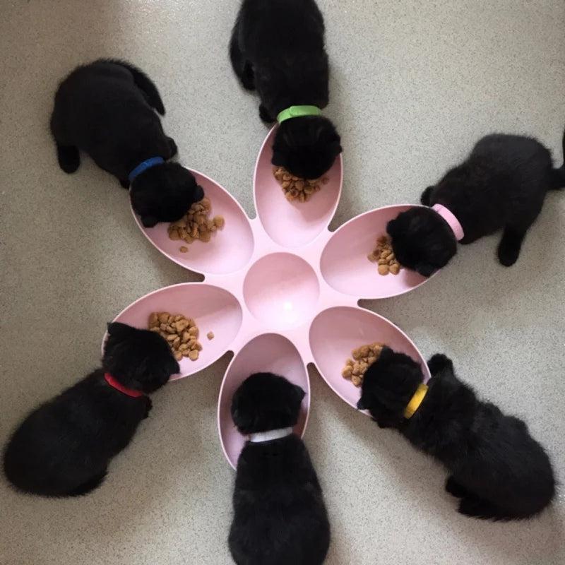 Gamelle chiots pétale de fleur