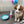 LICKIMAT Splash (Bol ventouse) - Pawzitive