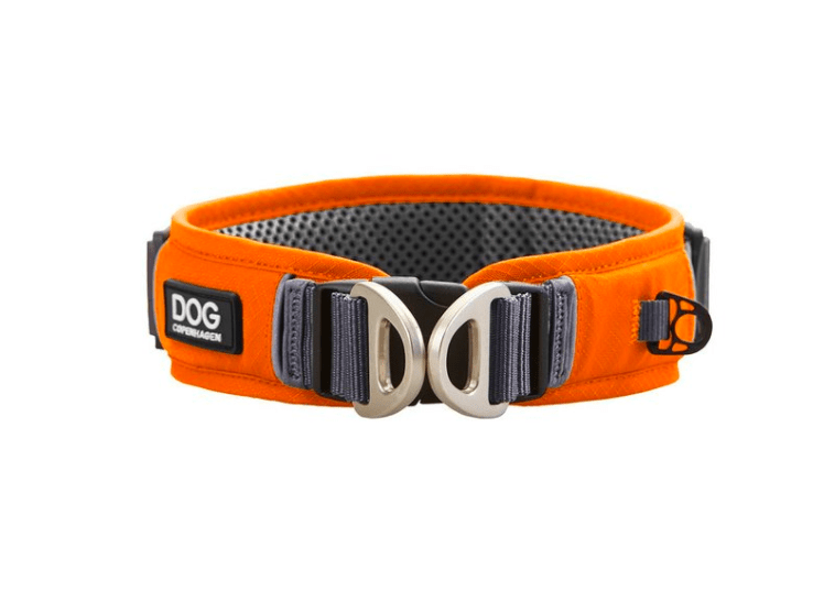 Collier DOG Copenhagen Urban Explorer - Pawzitive