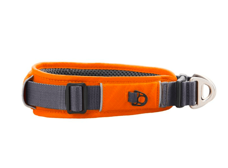 Collier DOG Copenhagen Urban Explorer - Pawzitive