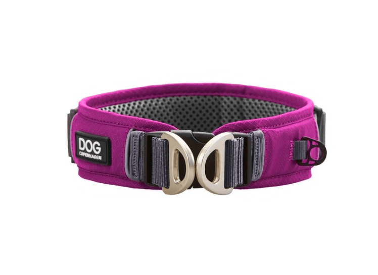 Collier DOG Copenhagen Urban Explorer - Pawzitive