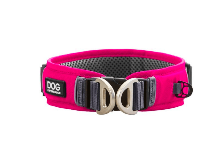 Collier DOG Copenhagen Urban Explorer - Pawzitive