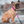 Collier DOG Copenhagen Urban Explorer - Pawzitive
