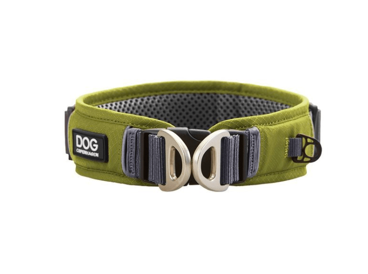 Collier DOG Copenhagen Urban Explorer - Pawzitive