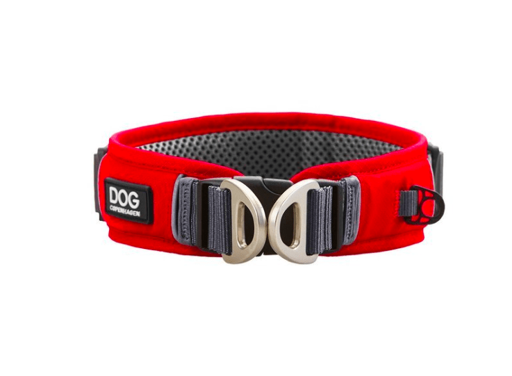 Collier DOG Copenhagen Urban Explorer - Pawzitive