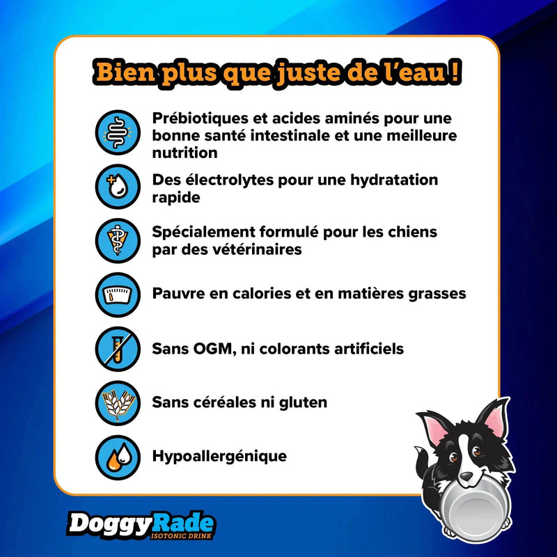 Doggy rade boisson prébiotique et réhydratant poulet ou 🦆