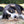 Sabots de veau - Friandises naturelles - Pawzitive