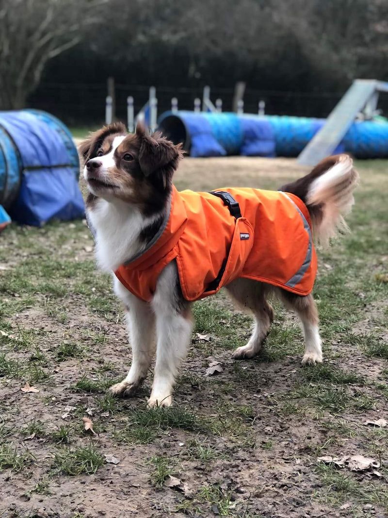 TOPPA POMPPA ( temps hivernale +++)