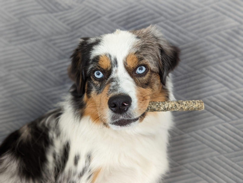 batonnets de morue 15 cm ( x5)