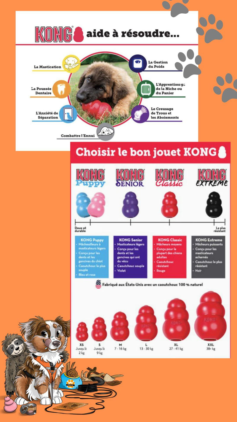 KONG pour chiot - Original Puppy