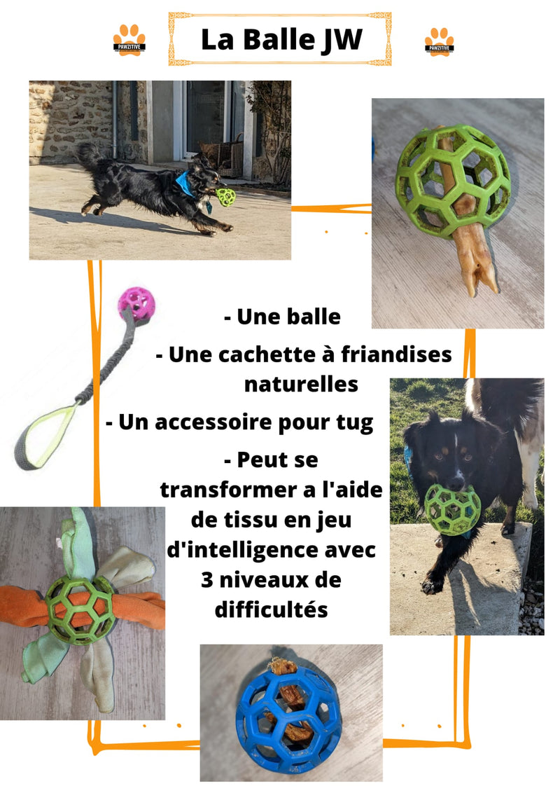 Balle JW Pet Hol-ee Roller