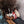 Peluche en forme de Canette de cola pour chien et chiot