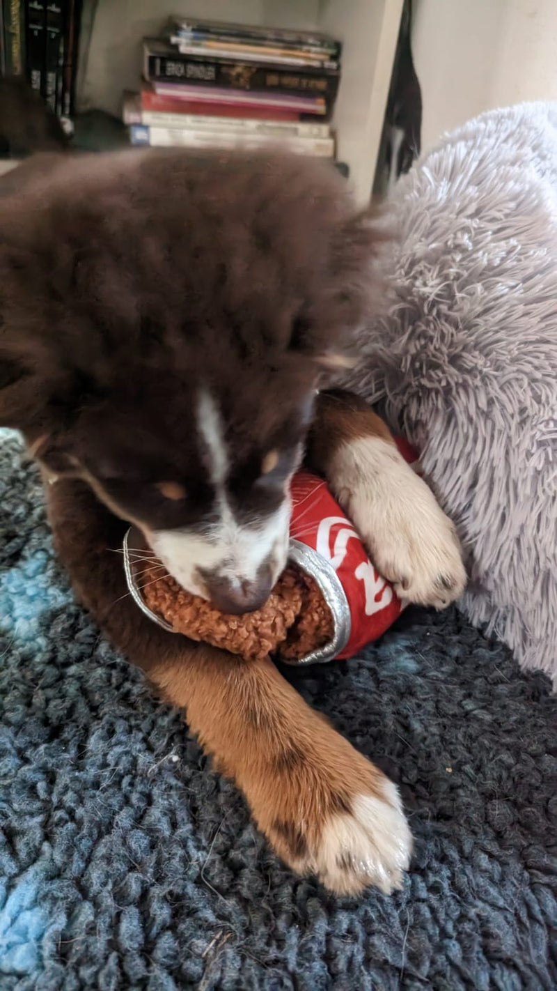 Peluche en forme de Canette de cola pour chien et chiot
