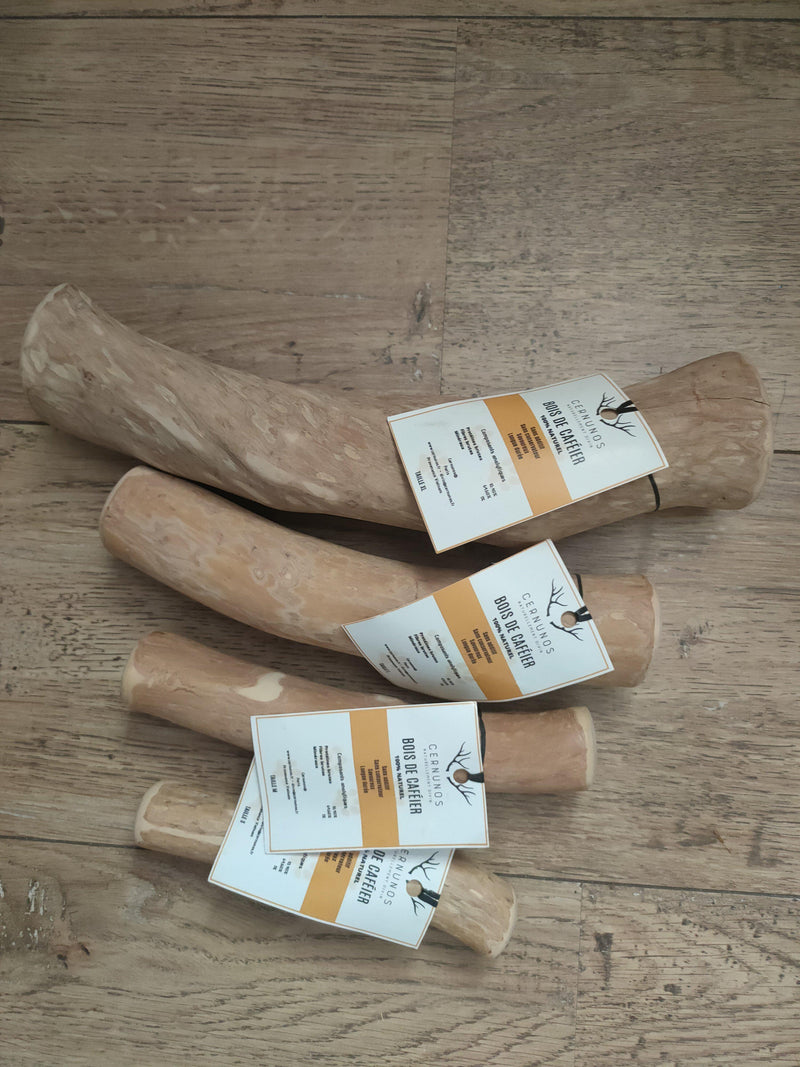 Bâton à mâcher en bois de café