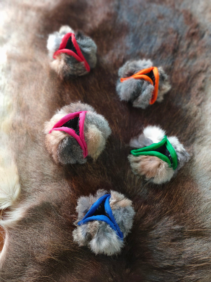 Balle a friandises lapin paws pocket