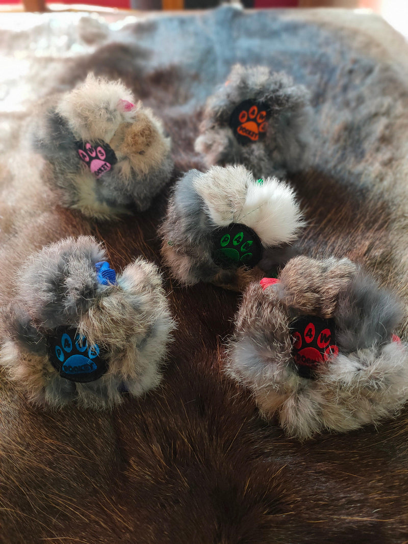 Balle a friandises lapin paws pocket