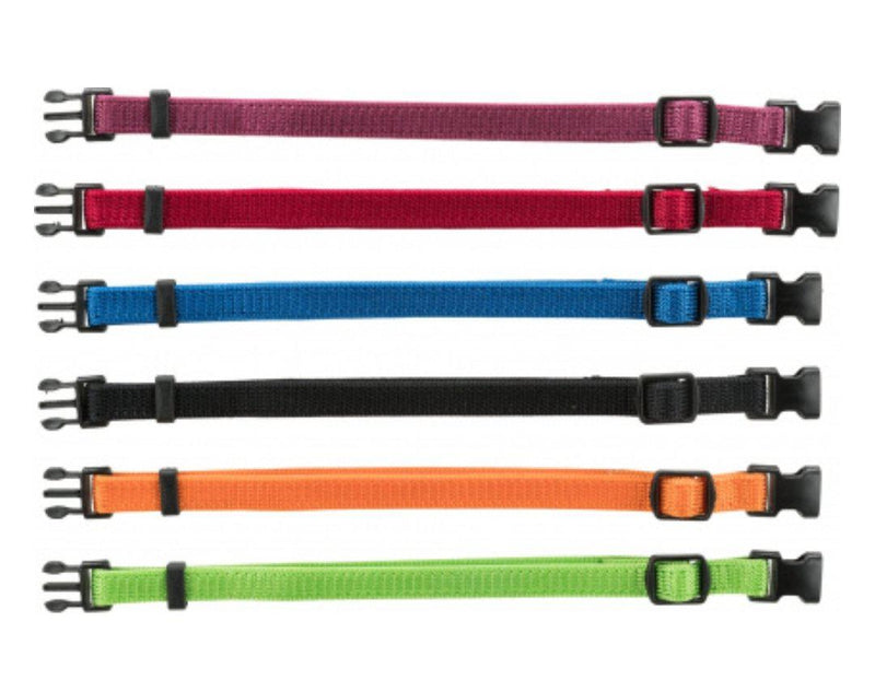 Junior Set collier pour chiot